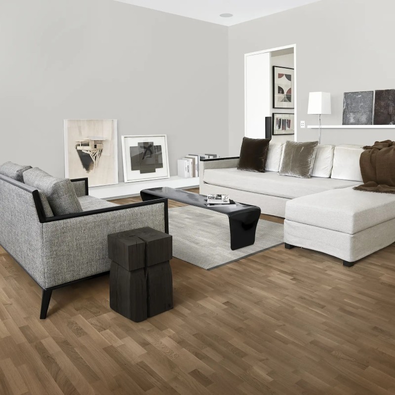 eng oak ground seed (4)