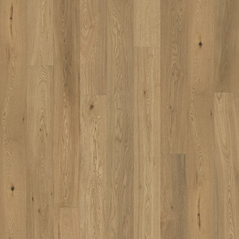 eng oak project 1 strip oiled 1