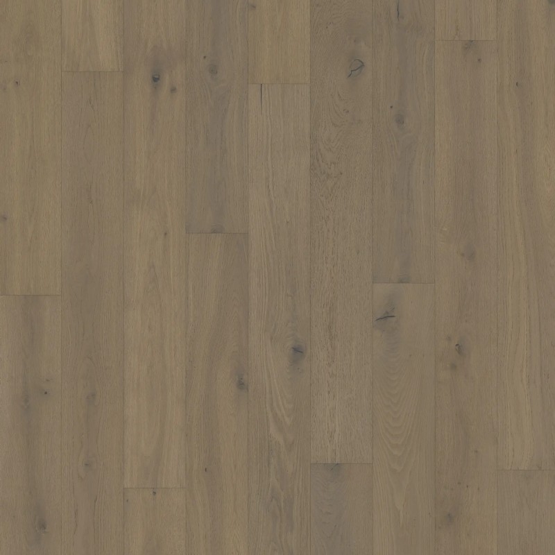 eng oak zen happiness (1)