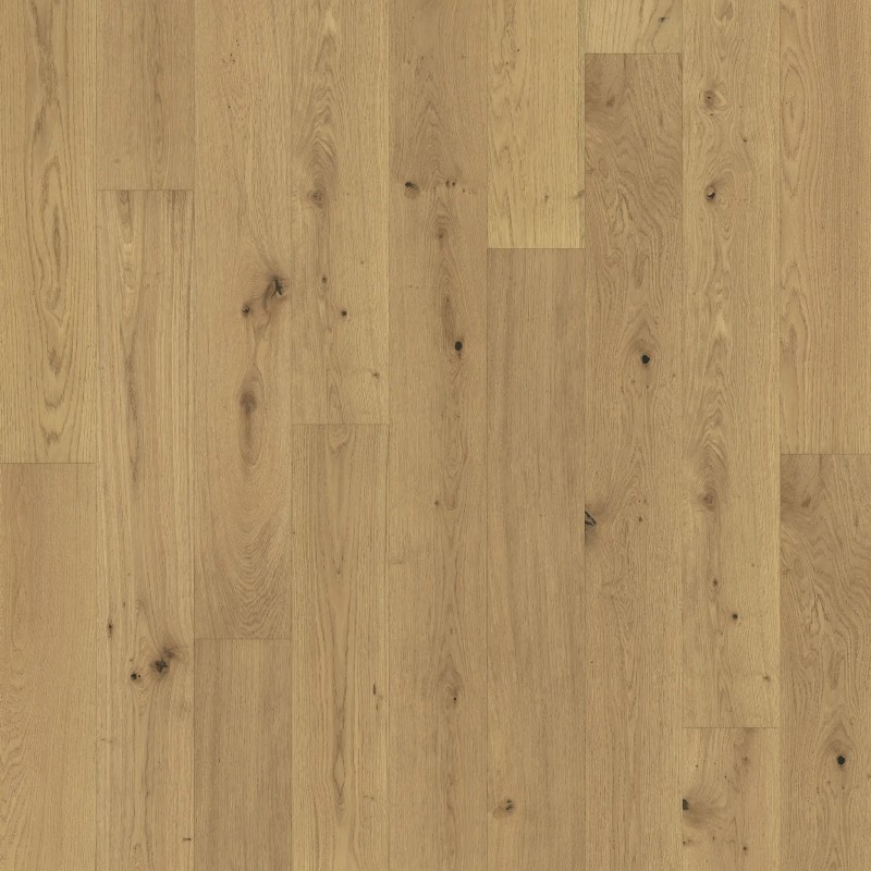 eng oak zen wisdom (1)