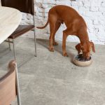 quick step laminate muse dusky bluestone